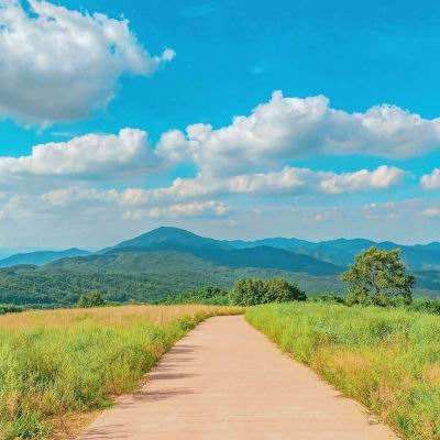 星空线上官网截图