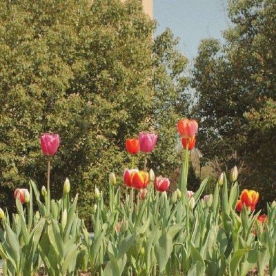 半岛登录入口-登录入口