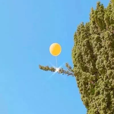 AG大厅网址手机app下载截图