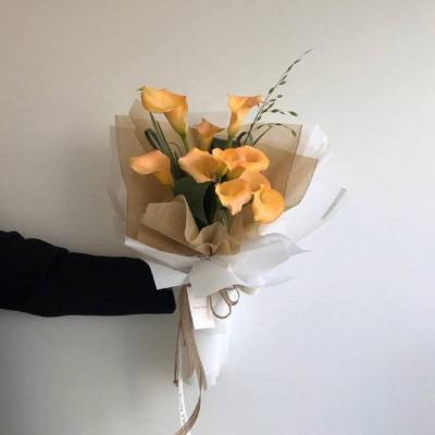 双赢彩票官方网站