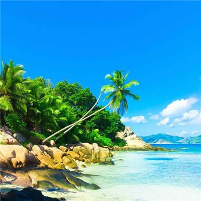 必一体育app官方网站