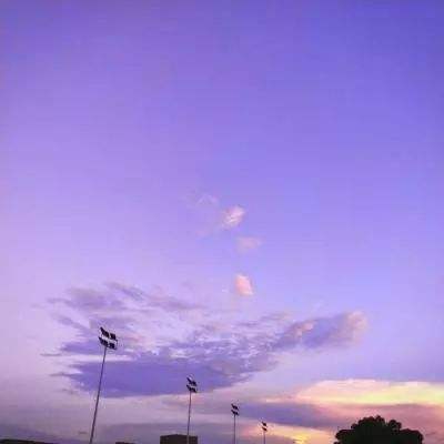 大发彩票app手机app下载