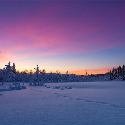 网易彩票最新版下载app
