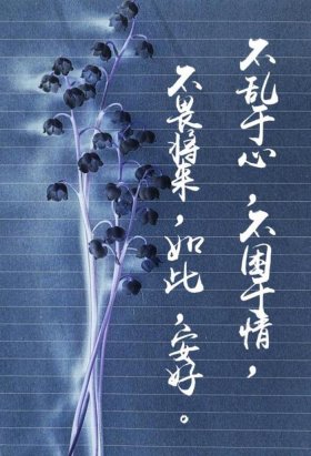 三观超正的温柔句子短句 古风、古风语录