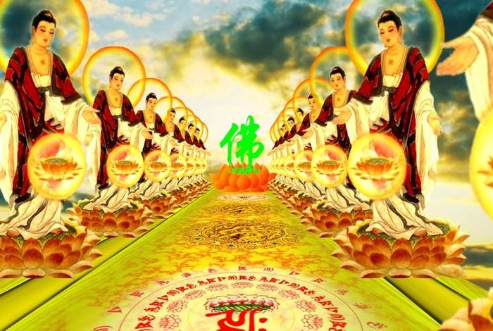 佛教知识免费下载网站大全（佛教知识免费下载网站大全视频）