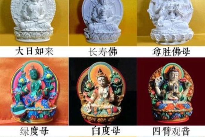 佛教怎么认识、佛教如何解释