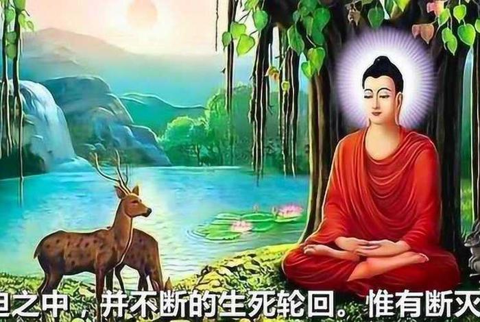 关于佛教的小视频 关于佛教的小视频短片