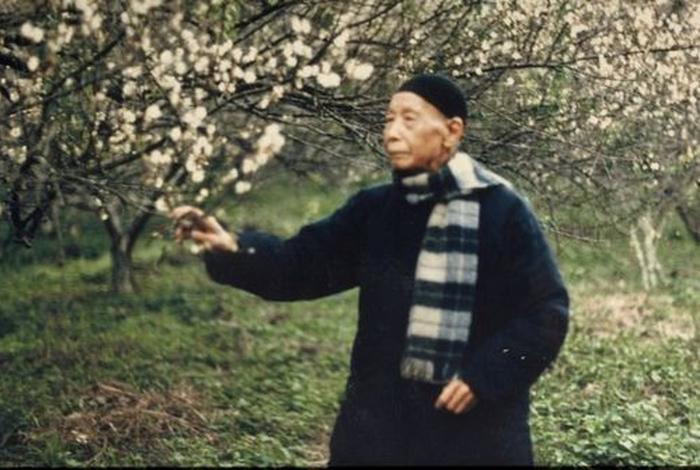 李炳南居士，李炳南居士谈往生