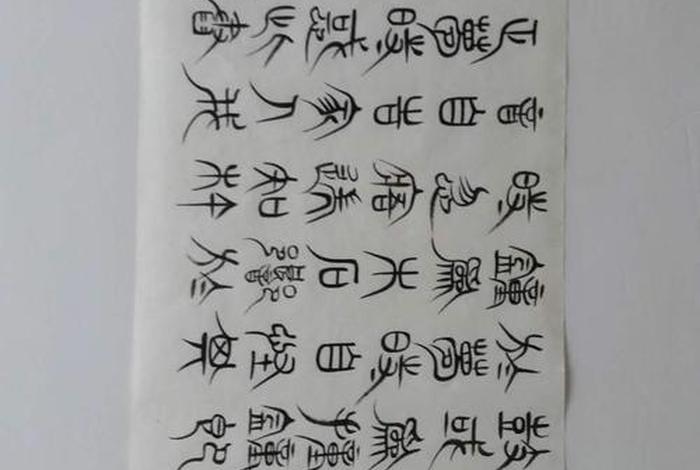 为什么佛学是真的读后感（为什么佛学是真的中文版下载）