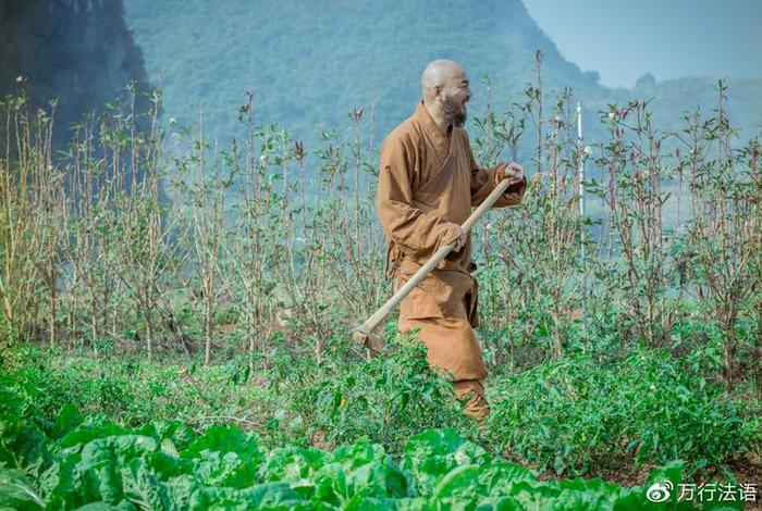 直下承担是佛法吗（直下是什么意思啊）
