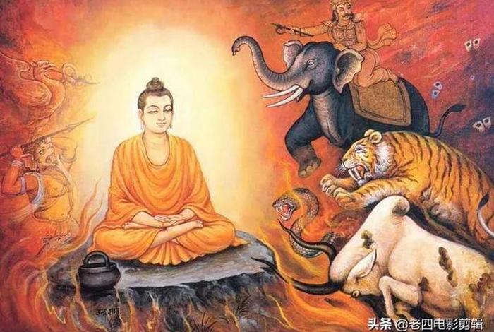 佛教是怎么讲幻觉的，学佛出现幻觉