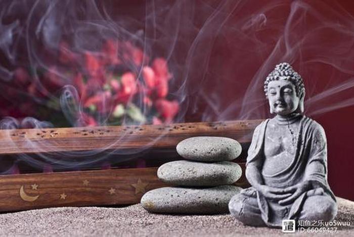 佛教的智慧的视频（佛教的智慧的视频有哪些）