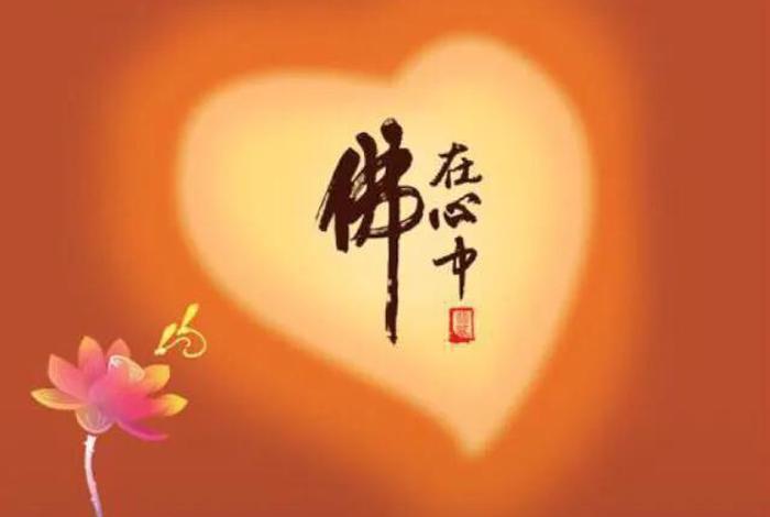 佛教渡心视频 佛教渡心视频大全