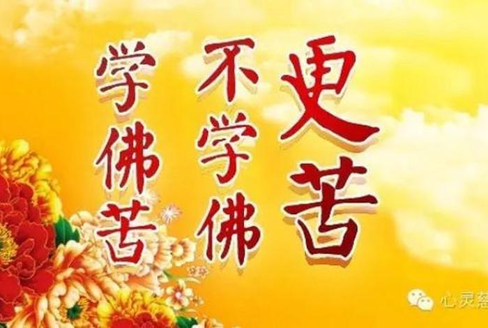 学佛就是；学佛就是学做人佛法就是完成生命