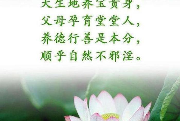 百家号当下禅，百家号!
