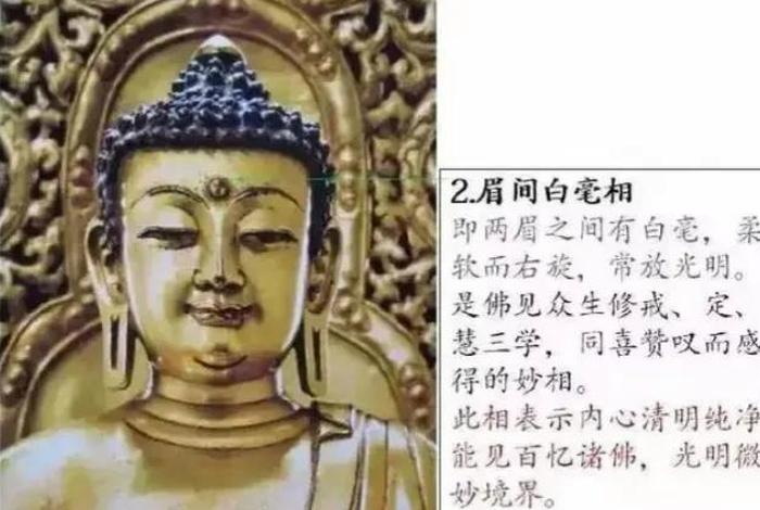 如来正法与佛法基础知识 如来佛祖讲法