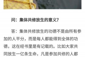佛说放生功德经 佛学放生的功德