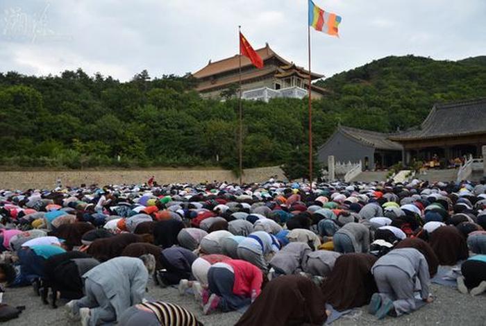 海城大悲古寺因果视频 海城大悲寺居士