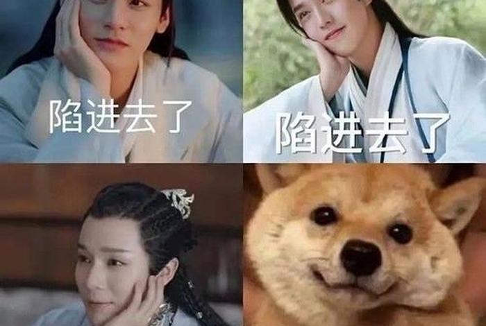 山河令台词佛 山河令台词大胆