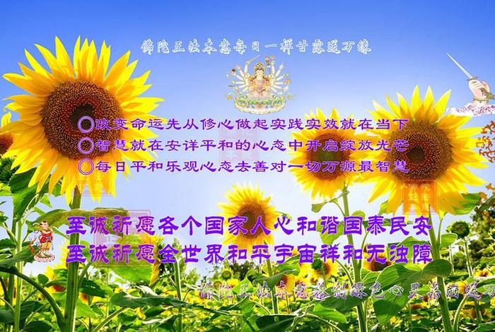 什么样的佛教文化形容词，描述佛教的词