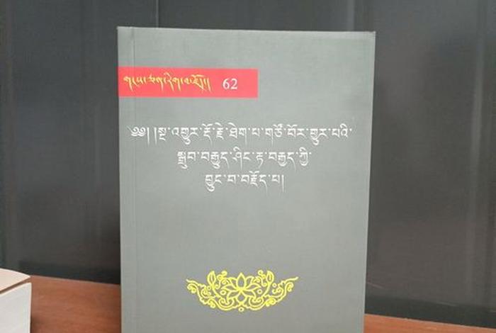藏语佛教和中原佛教；佛教是藏语