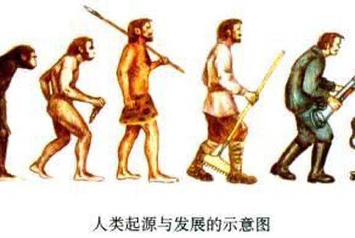 请问人类是怎么来的、人类是怎样来的呢