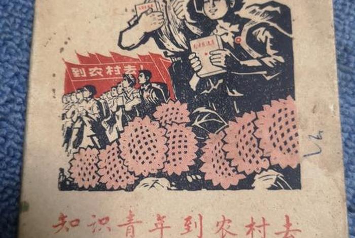 知识分子下乡 - 知识青年下乡是什么时候开始的