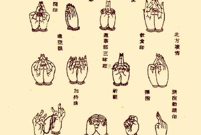 佛教与中国文化知识总结怎么写 佛教文化与中国文化