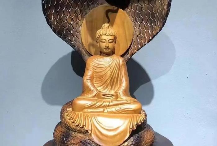 佛教中菩提的意思、佛教讲菩提是什么意思
