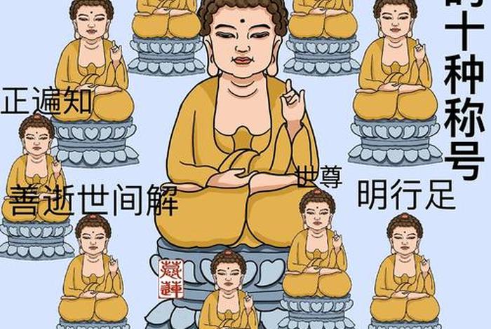 漫画佛教知识大全；漫画佛教知识大全图片