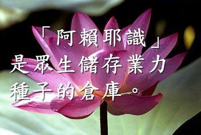 三界唯心万法唯识，三界唯心万法唯识净空