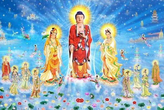 佛教教会我们什么（佛法教会我们什么）