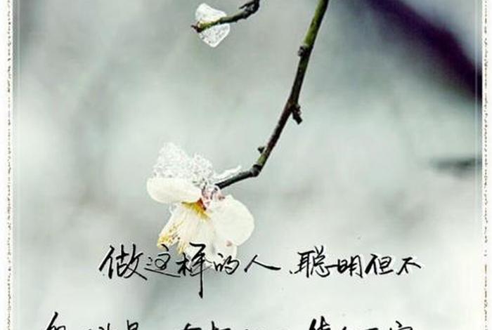 百度热搜醍醐灌顶视频、醍醐灌顶的一句话知乎