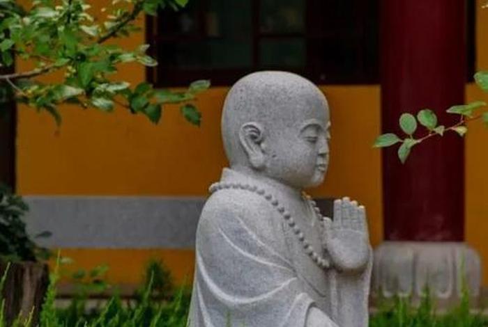 佛学见元什么意思（佛教的见取见）