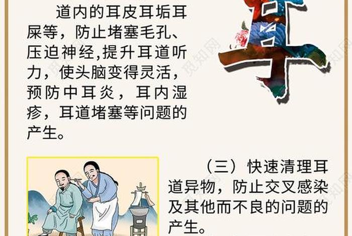 采耳耳部知识讲解 - 采耳的技术要点是什么