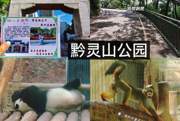 黔灵山弘福寺九龙浴佛（黔灵公园弘福寺介绍）