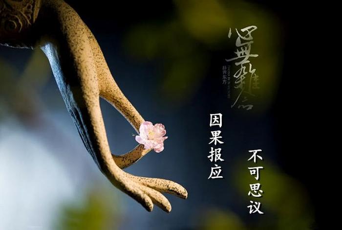 学佛人怀孕是什么因果；学佛人意外怀孕怎么办