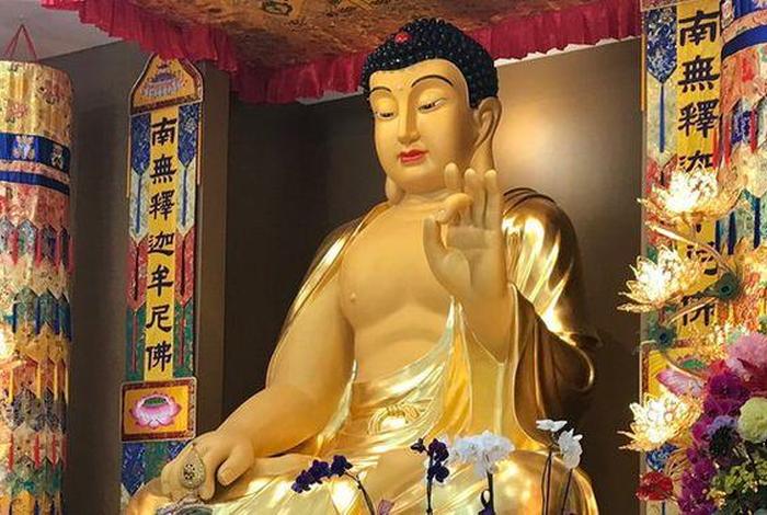 如来正法佛教，如来讲法视频