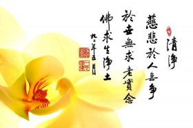 佛法分享心得；佛法心德