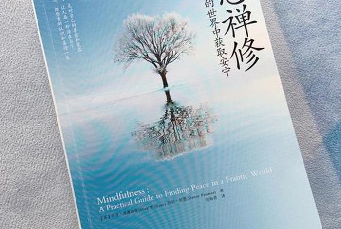 最好的佛教禅修书（最好的佛教禅修书籍是什么）