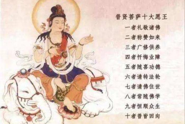 一者礼敬诸佛全文解释（一者礼敬诸佛 解释）