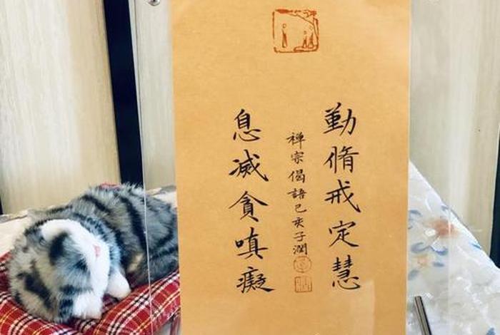修持戒定慧消灭贪嗔痴；戒定慧对治贪嗔痴