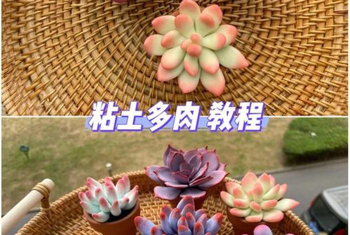 树脂多肉入门教程 多肉树脂粘土图解