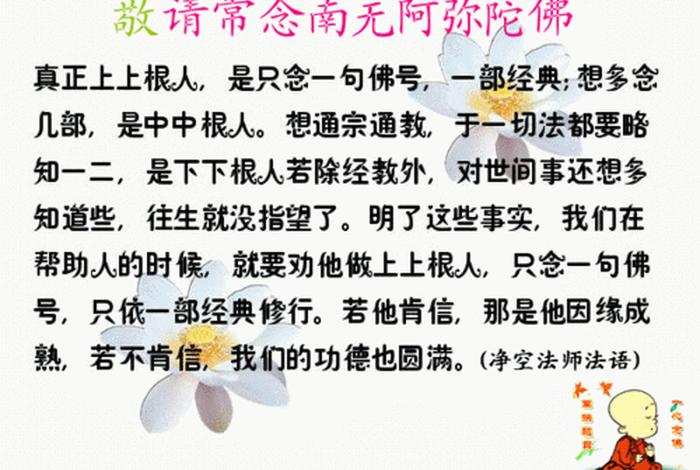 有关佛教保佑的知识大全视频（保佑的佛语）