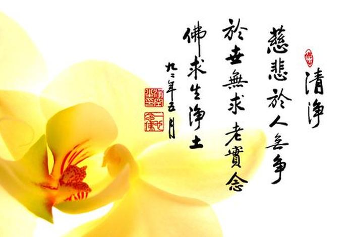 如何用佛学的智慧指引我们的人生；佛教智慧怎样在生活中的运用
