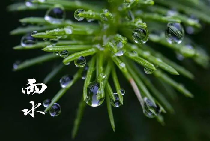 及时雨的意思是什么,简单的说，及时雨的意思是什么,简单的说一句话