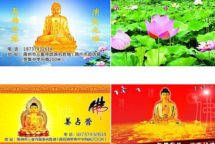 下载最好的佛教网；下载最好的佛教网站