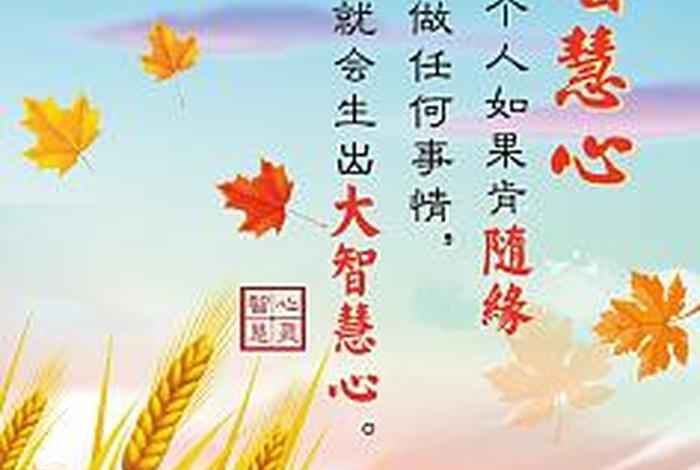 佛教关于智慧的经文（佛经关于大智慧的句子）