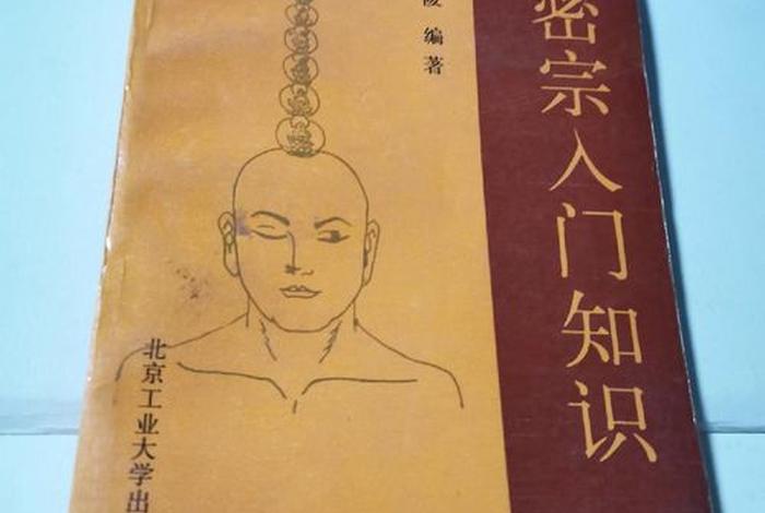 佛教密宗入门知识大全（佛教密宗的由来及其特点）