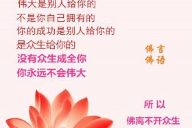佛教用语知识大全图片高清下载，佛教用语知识大全图片高清下载安装